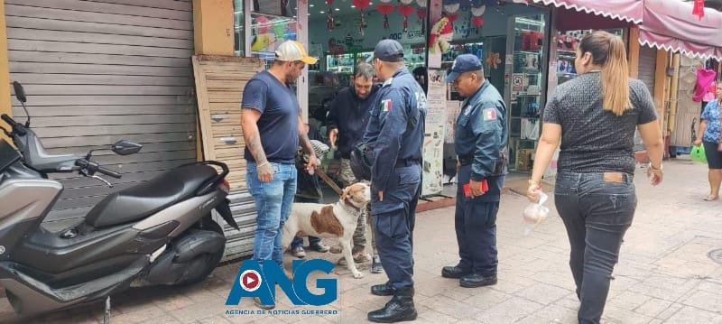 Rescate de perrito maltratad0 en el Andador Zapata de Chilpancingo