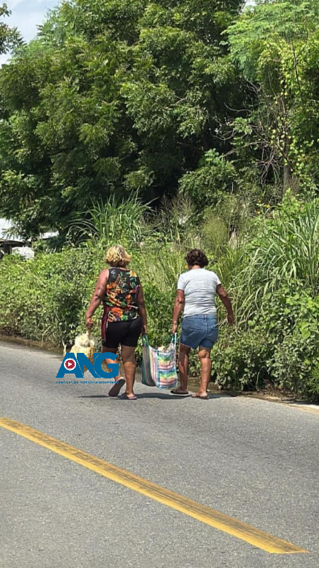 Vecinos de Rancho El Santo en Coyuca de Benítez aprovechan volcadura de tráiler para llevarse pollos