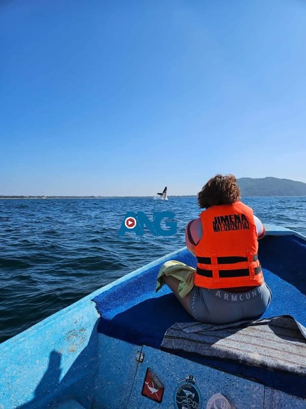 Llaman a cuidar a las ballenas en las playas de #Zihuatanejo
