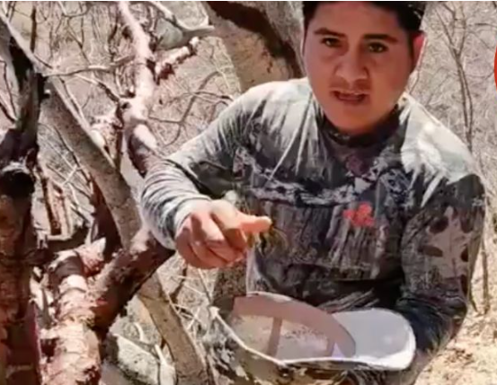Piden castigo contra influencer que se grabó saqueando nido de loros en peligro de extinción en Altamirano, Guerrero