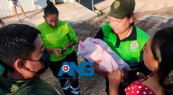 Bebé de #Tlapa es un varón prematuro de 28 semanas, sobrevive tras ser abandonado en una barranca desnudo, está en íncubadora