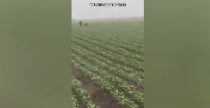 Indignación por redadas migratorias de ICE en granjas agrícolas cercanas a Los Ángeles