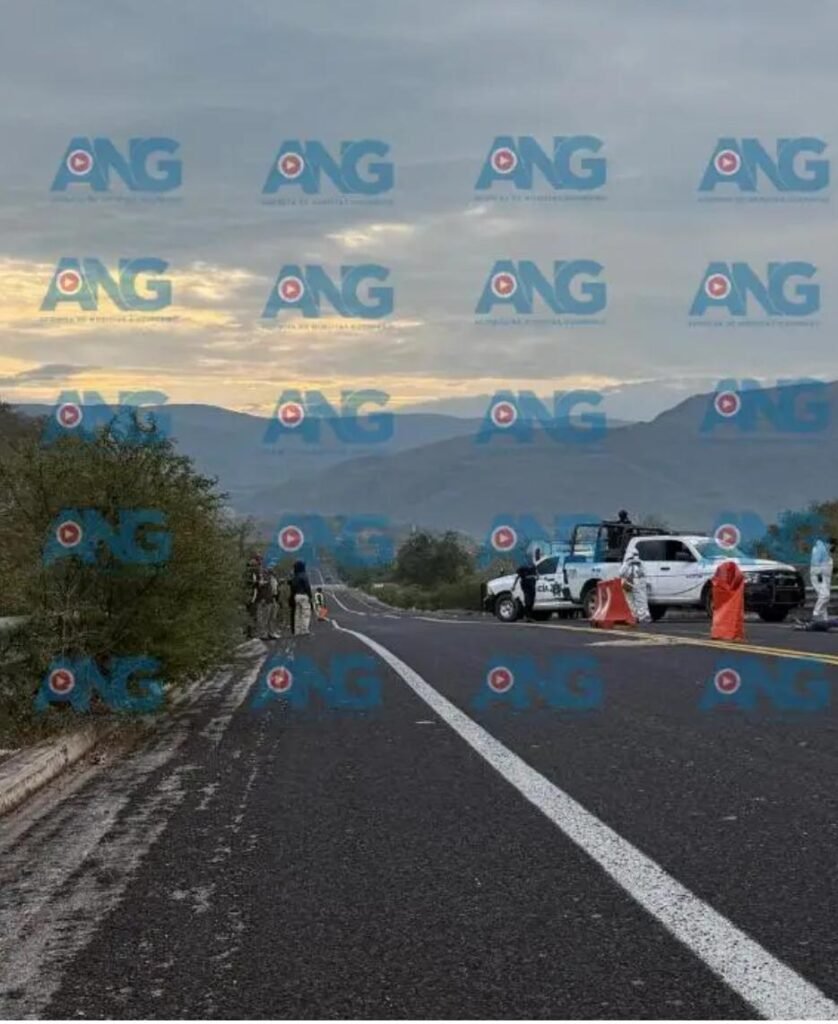 Localizan cadáver en libramiento de cuota a Tixtla; estaba siendo devorado por animales carroñeros