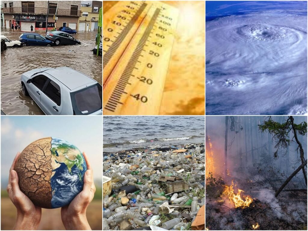 Desertificación, erosión e innovación, ¿quiénes son los Guardianes Verdes?